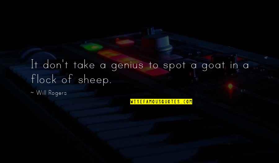 Anacleto De Medeiros Quotes By Will Rogers: It don't take a genius to spot a