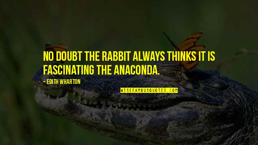 Anaconda 3 Quotes By Edith Wharton: no doubt the rabbit always thinks it is