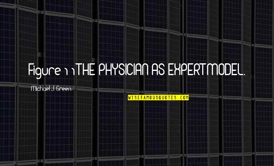 Anacreon Quotes By Michael J. Green: Figure 1-1 THE PHYSICIAN-AS-EXPERT MODEL.