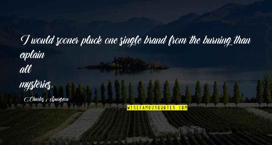 Anadin Quotes By Charles Spurgeon: I would sooner pluck one single brand from Anadin Quotes By Charles Spurgeon: I would sooner pluck one single brand from