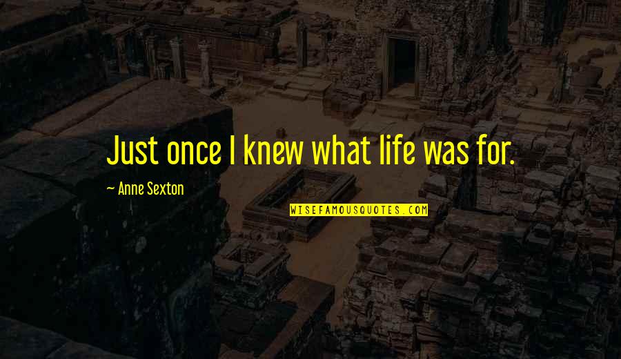 Anagrammed Quotes By Anne Sexton: Just once I knew what life was for.