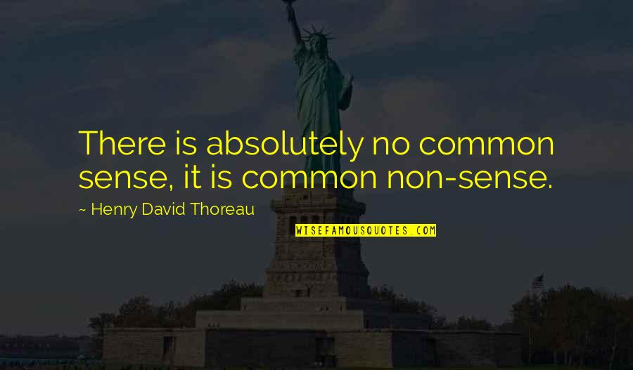 Anaidita Quotes By Henry David Thoreau: There is absolutely no common sense, it is