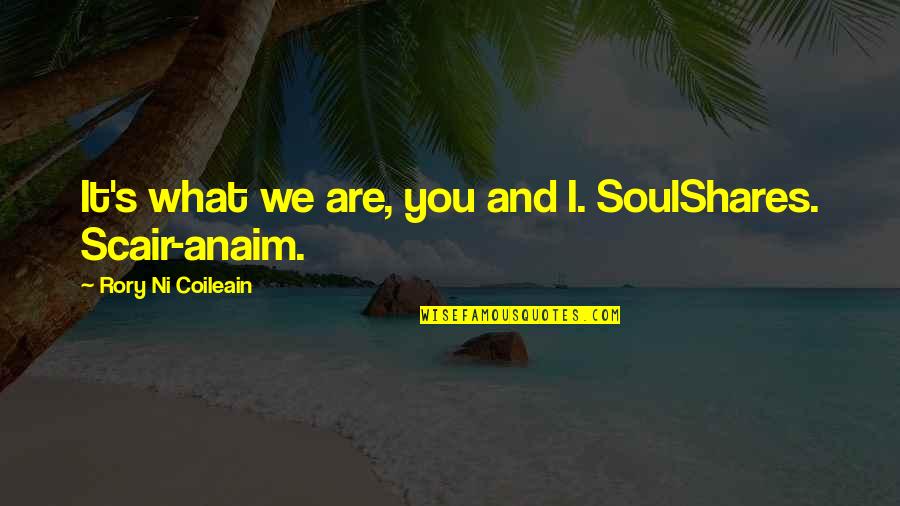 Anaim Quotes By Rory Ni Coileain: It's what we are, you and I. SoulShares.