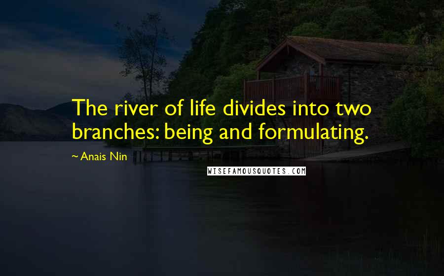 Anais Nin quotes: The river of life divides into two branches: being and formulating.