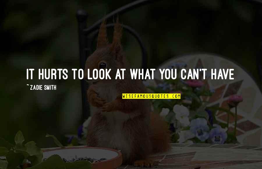 Anakin Solo Quotes By Zadie Smith: It hurts to look at what you can't Anakin Solo Quotes By Zadie Smith: It hurts to look at what you can't