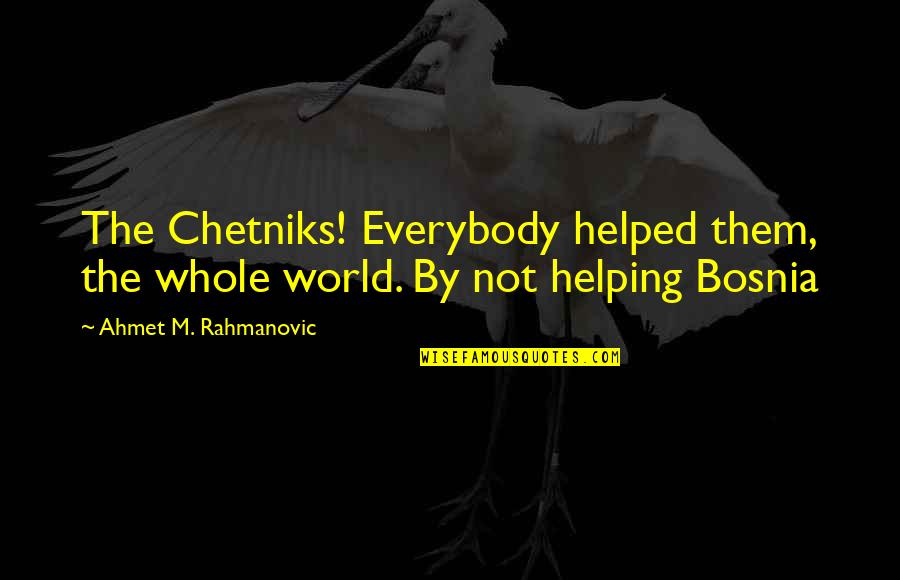 Analgesics Examples Quotes By Ahmet M. Rahmanovic: The Chetniks! Everybody helped them, the whole world.