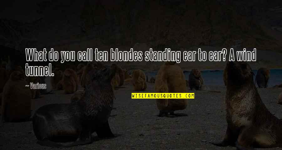 Anally Stock Quotes By Various: What do you call ten blondes standing ear