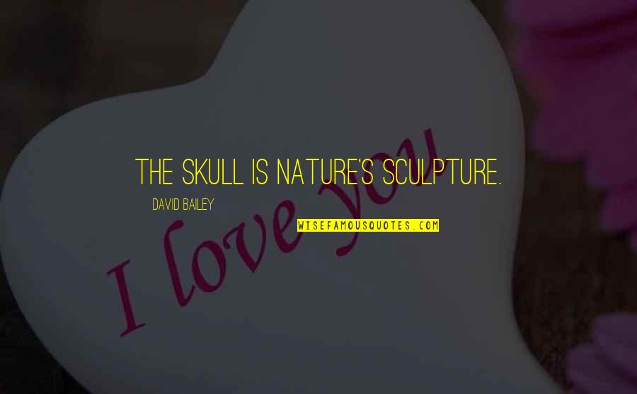 Analog Girl Quotes By David Bailey: The skull is nature's sculpture. Analog Girl Quotes By David Bailey: The skull is nature's sculpture.