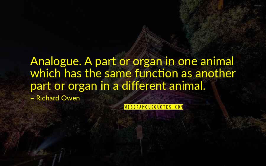 Analogue Quotes By Richard Owen: Analogue. A part or organ in one animal