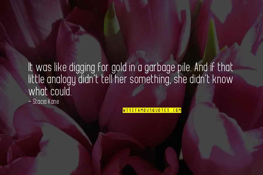 Analogy Quotes By Stacia Kane: It was like digging for gold in a Analogy Quotes By Stacia Kane: It was like digging for gold in a