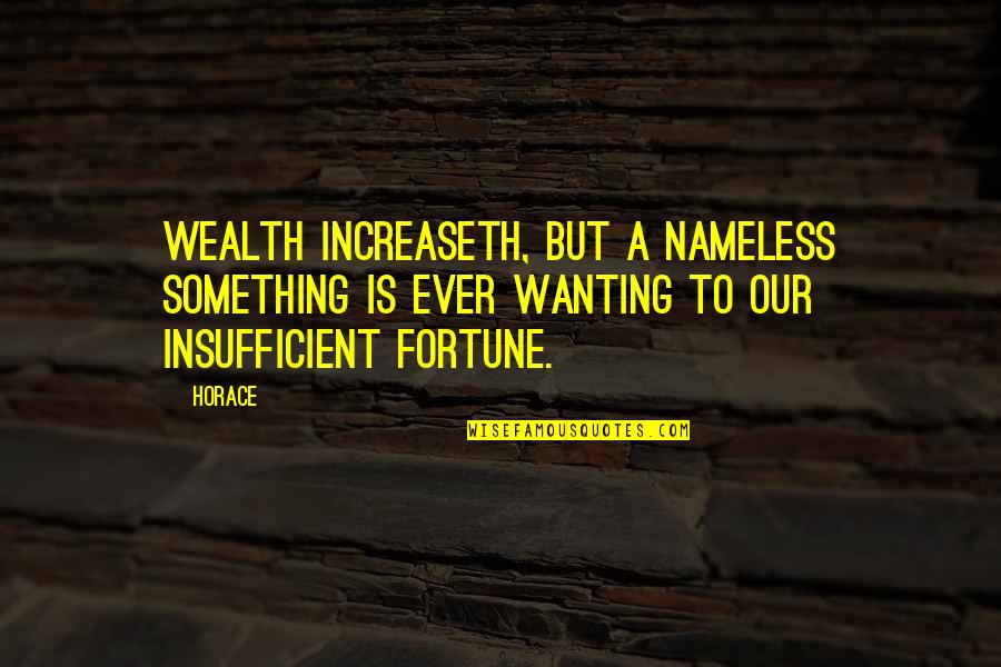 Anamary Lorenzo Quotes By Horace: Wealth increaseth, but a nameless something is ever