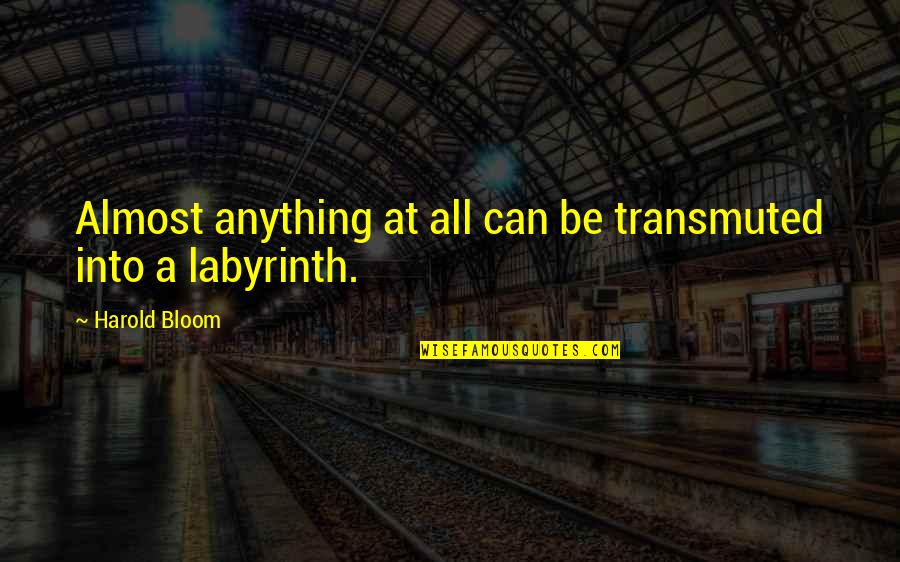 Anandji Haridas Quotes By Harold Bloom: Almost anything at all can be transmuted into