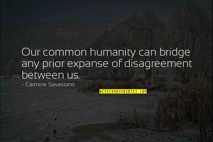 Ananthan Sadagopan Quotes By Carmine Savastano: Our common humanity can bridge any prior expanse