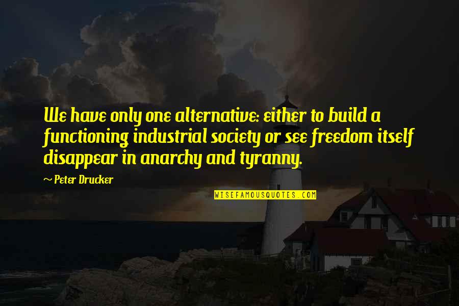 Anarchy Quotes By Peter Drucker: We have only one alternative: either to build
