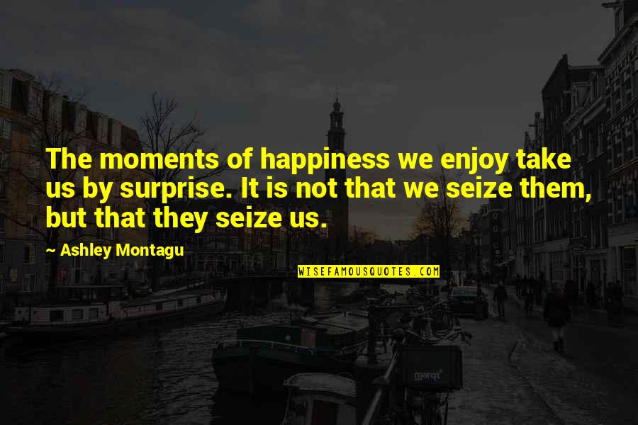 Anarchyism Quotes By Ashley Montagu: The moments of happiness we enjoy take us