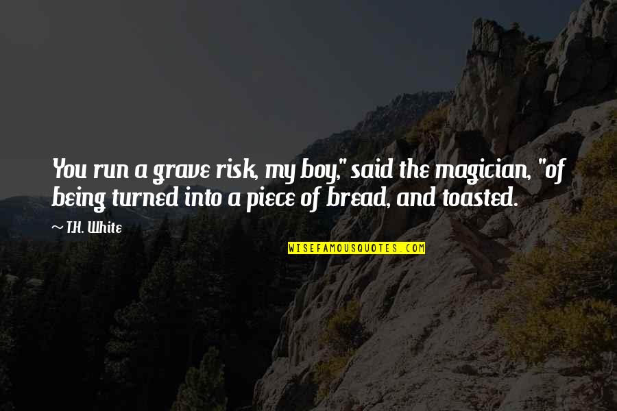 Anastrozole Quotes By T.H. White: You run a grave risk, my boy," said Anastrozole Quotes By T.H. White: You run a grave risk, my boy," said