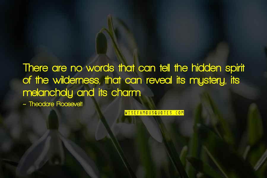 Anathematize Synonym Quotes By Theodore Roosevelt: There are no words that can tell the
