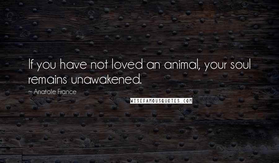 Anatole France quotes: If you have not loved an animal, your soul remains unawakened.