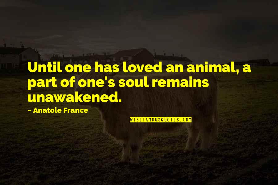 Anatole France Quotes By Anatole France: Until one has loved an animal, a part