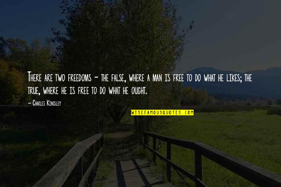 Anatolijs Quotes By Charles Kingsley: There are two freedoms - the false, where