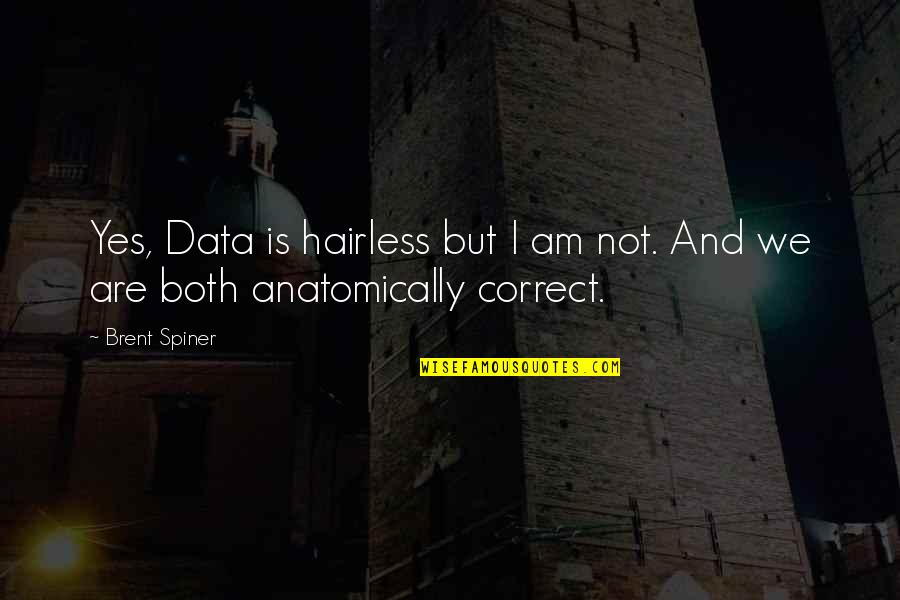 Anatomically Quotes By Brent Spiner: Yes, Data is hairless but I am not.