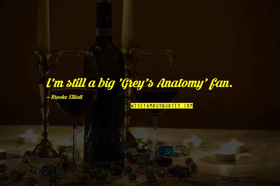 Anatomy Quotes By Brooke Elliott: I'm still a big 'Grey's Anatomy' fan.