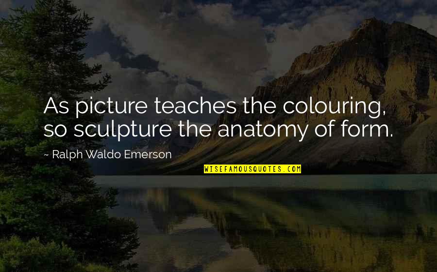 Anatomy Quotes By Ralph Waldo Emerson: As picture teaches the colouring, so sculpture the