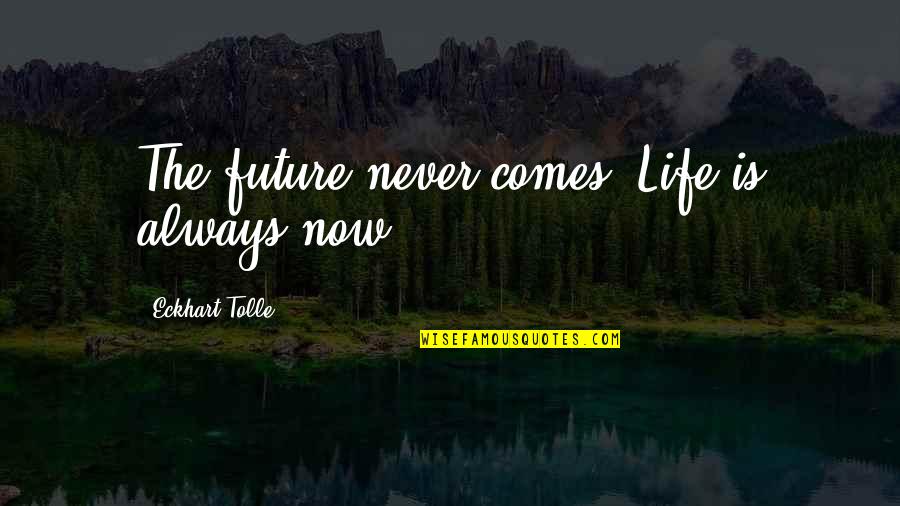 Anaxagoras Contribution Quotes By Eckhart Tolle: The future never comes. Life is always now.