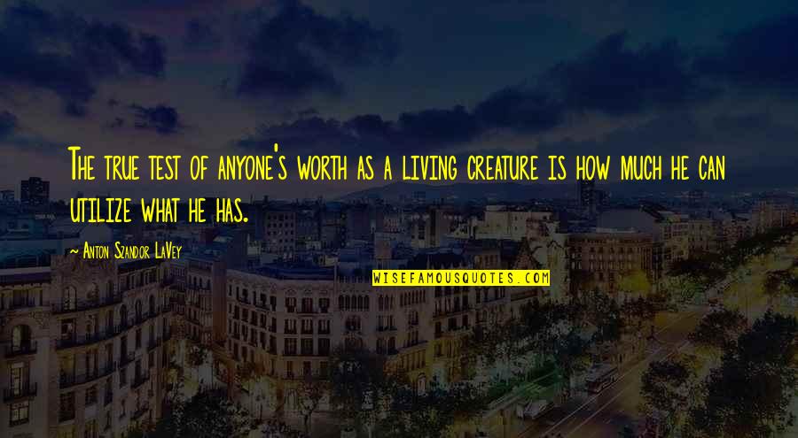 Anaxagoras De Clazomene Quotes By Anton Szandor LaVey: The true test of anyone's worth as a Anaxagoras De Clazomene Quotes By Anton Szandor LaVey: The true test of anyone's worth as a