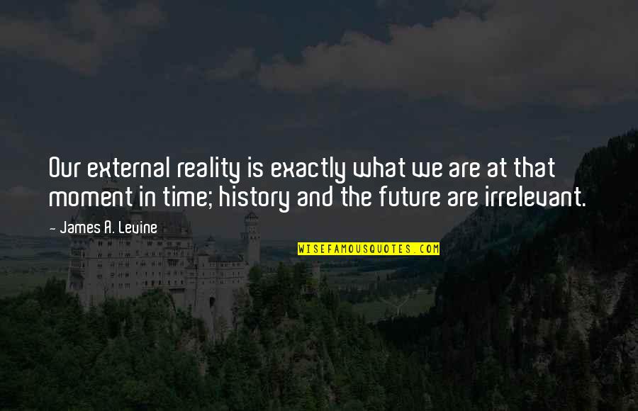 Anayas Pendant Quotes By James A. Levine: Our external reality is exactly what we are Anayas Pendant Quotes By James A. Levine: Our external reality is exactly what we are