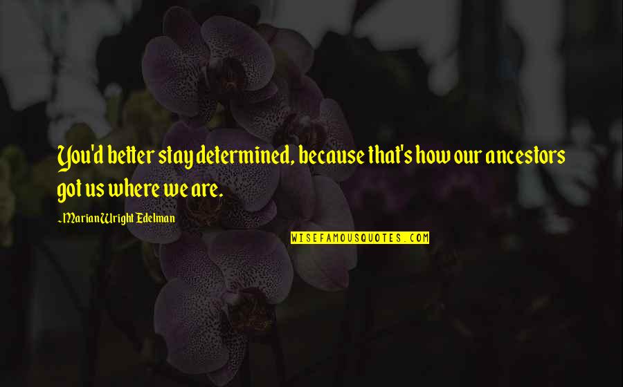 Ancestor S Quotes By Marian Wright Edelman: You'd better stay determined, because that's how our Ancestor S Quotes By Marian Wright Edelman: You'd better stay determined, because that's how our