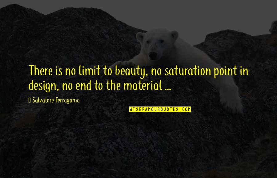 Anchorman Hungover Quotes By Salvatore Ferragamo: There is no limit to beauty, no saturation