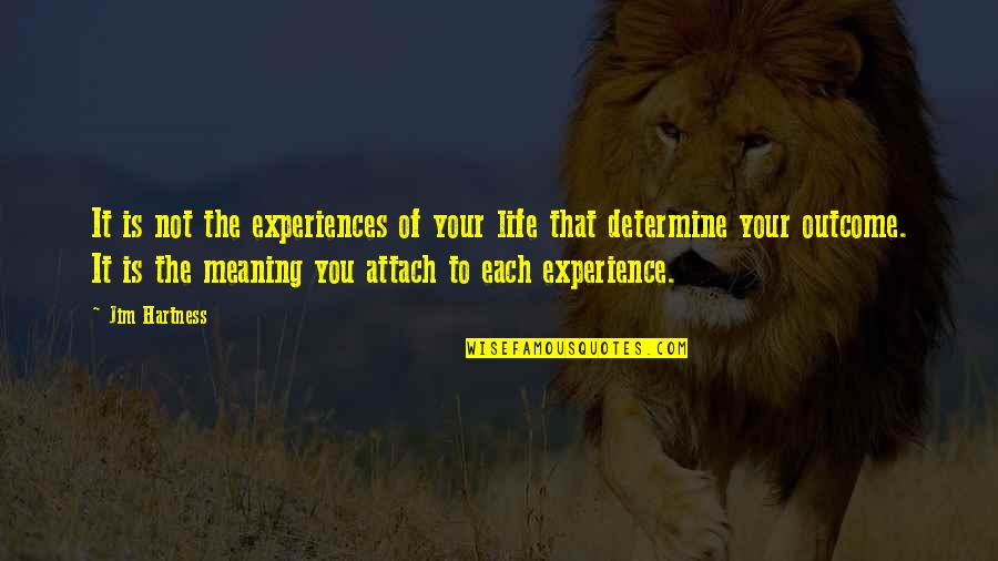 Anchorman Quotes By Jim Hartness: It is not the experiences of your life