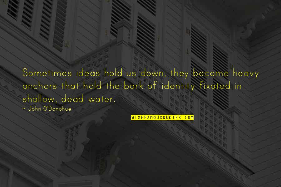 Anchors Quotes By John O'Donohue: Sometimes ideas hold us down; they become heavy