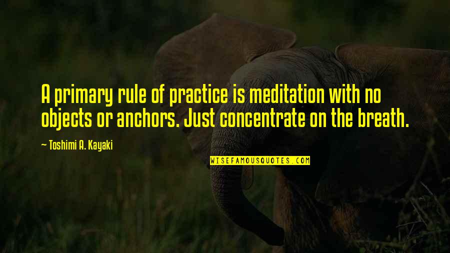 Anchors Quotes By Toshimi A. Kayaki: A primary rule of practice is meditation with