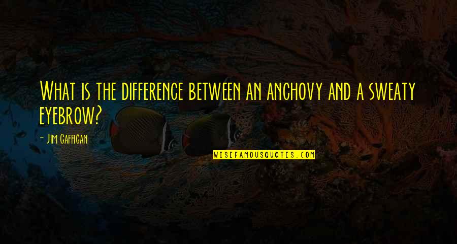 Anchovy Quotes By Jim Gaffigan: What is the difference between an anchovy and