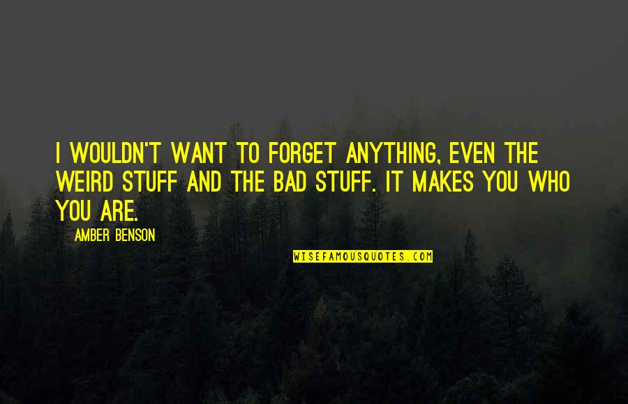 Anchura Definicion Quotes By Amber Benson: I wouldn't want to forget anything, even the Anchura Definicion Quotes By Amber Benson: I wouldn't want to forget anything, even the