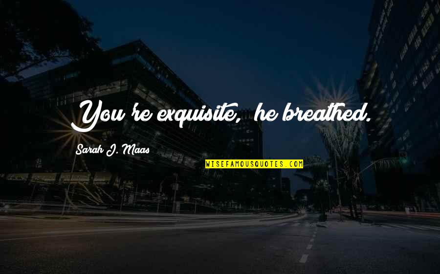 Ancient Chinese Wisdom Funny Quotes By Sarah J. Maas: You're exquisite," he breathed.