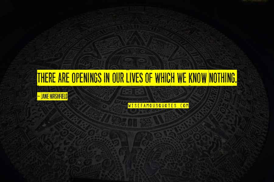 Ancient Egyptian Hieroglyphics Quotes By Jane Hirshfield: There are openings in our lives of which