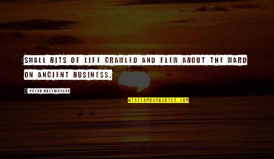 Ancient Life Quotes By Peter Matthiessen: Small bits of life crawled and flew about Ancient Life Quotes By Peter Matthiessen: Small bits of life crawled and flew about