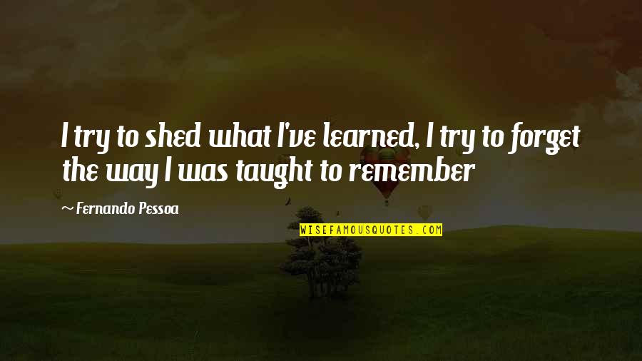 Ancolie Quotes By Fernando Pessoa: I try to shed what I've learned, I