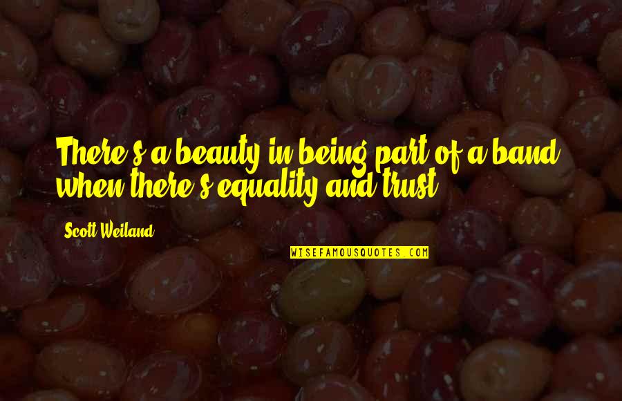 And Equality Quotes By Scott Weiland: There's a beauty in being part of a