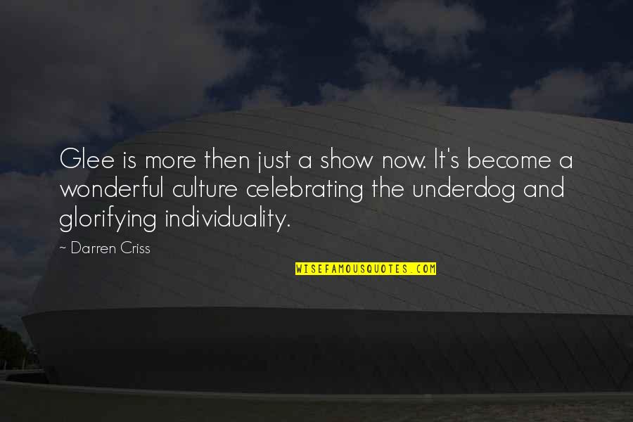 And Individuality Quotes By Darren Criss: Glee is more then just a show now.