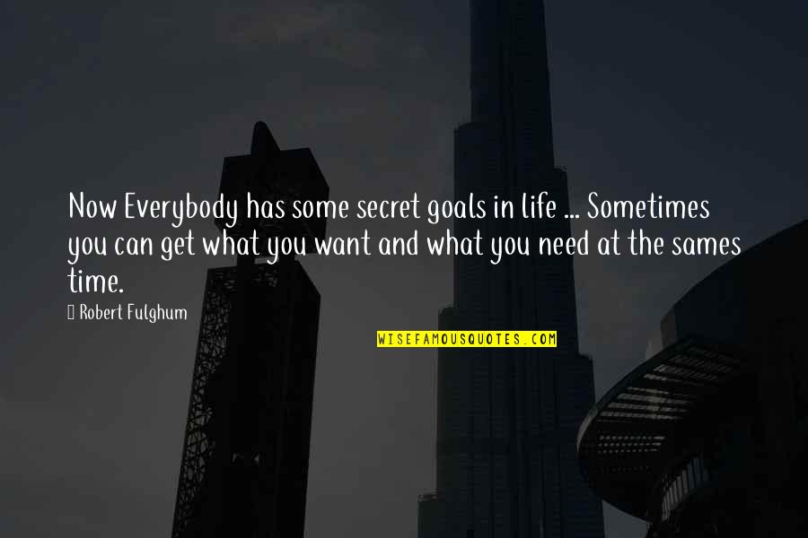 And Life Goals Quotes By Robert Fulghum: Now Everybody has some secret goals in life