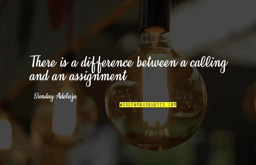 And Life Goals Quotes By Sunday Adelaja: There is a difference between a calling and
