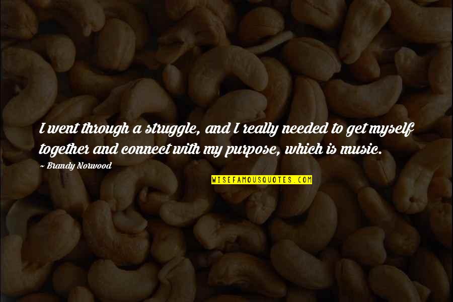 And Music Quotes By Brandy Norwood: I went through a struggle, and I really And Music Quotes By Brandy Norwood: I went through a struggle, and I really
