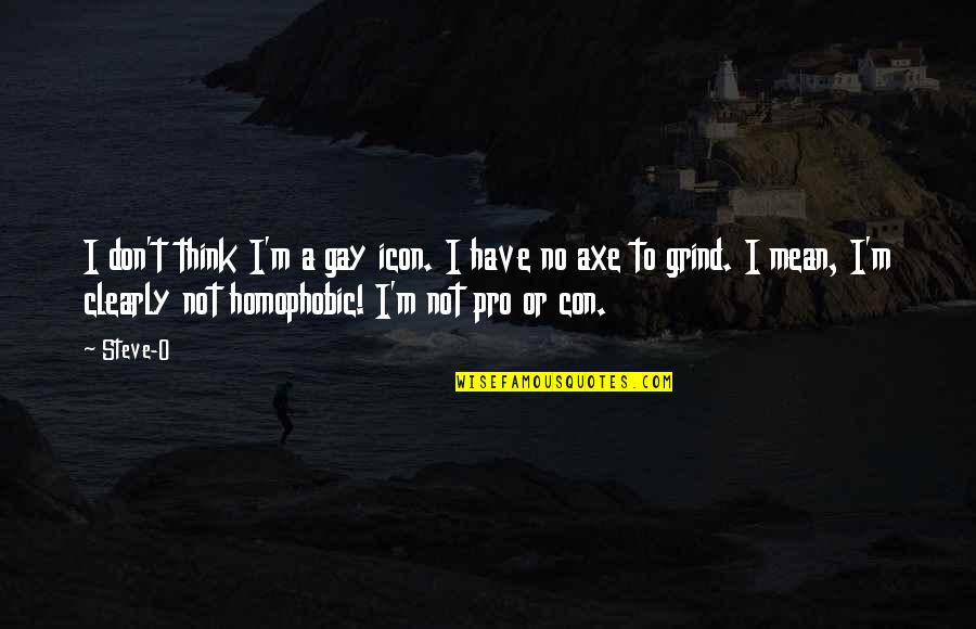 And My Axe Quotes By Steve-O: I don't think I'm a gay icon. I