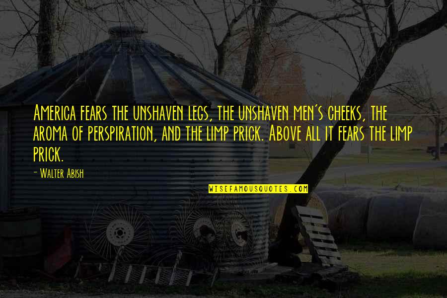 And Now Were Strangers Again Quotes By Walter Abish: America fears the unshaven legs, the unshaven men's