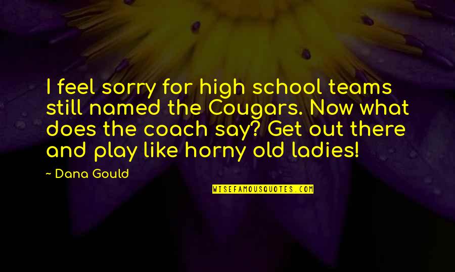 And Now What Quotes By Dana Gould: I feel sorry for high school teams still