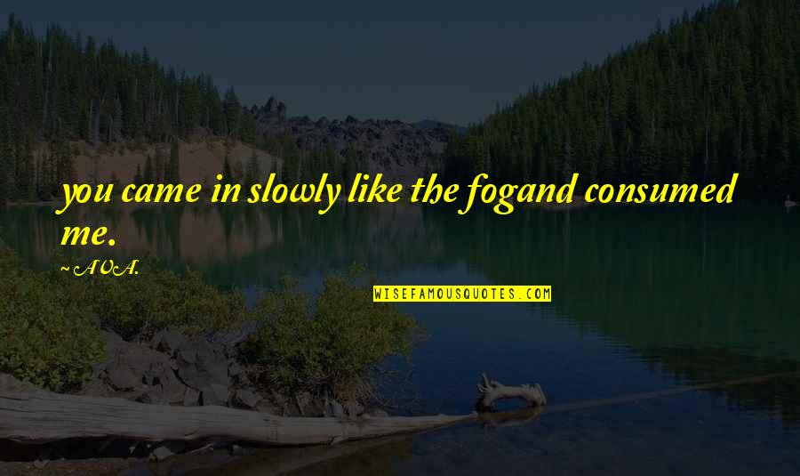 And Romantic Love Quotes By AVA.: you came in slowly like the fogand consumed